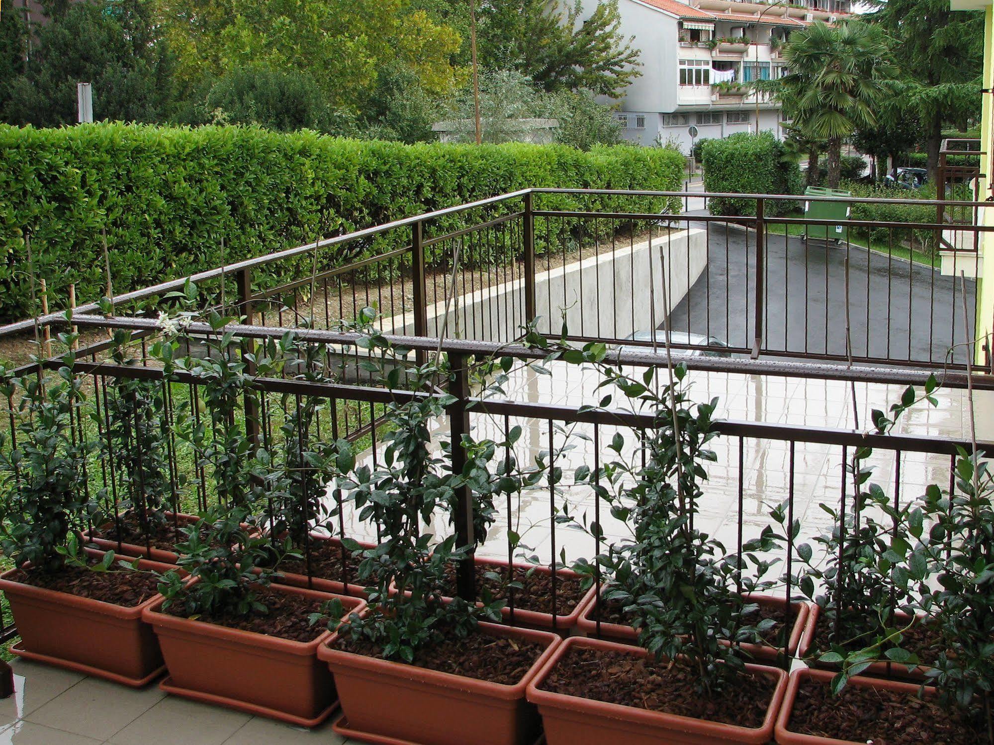 Garni Hotel Keltika อิซอลา ภายนอก รูปภาพ